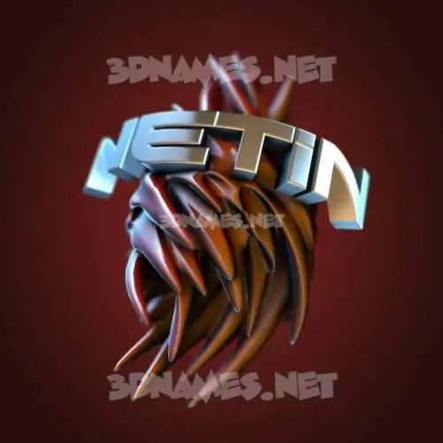 netin in Red Twisted style - 3D name wallpaper netin in Red Twisted style - 3D name wallpaper