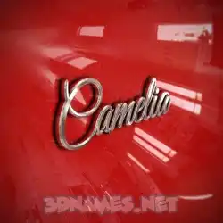 camelia in Car Paint style - 3D name wallpaper