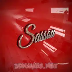 sassou in Car Paint style - 3D name wallpaper