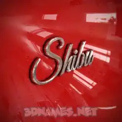 shibu in Car Paint style - 3D name wallpaper