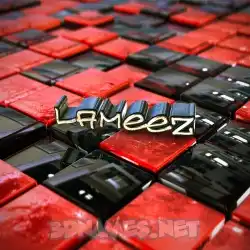 lameez in Red Checkered style - 3D name wallpaper