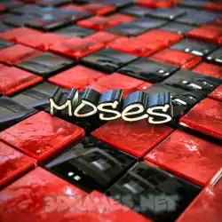 moses in Red Checkered style - 3D name wallpaper