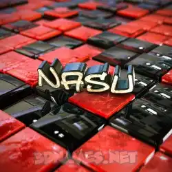 nasu in Red Checkered style - 3D name wallpaper