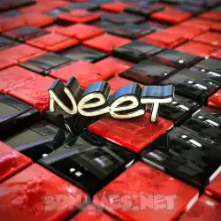 neet in Red Checkered style - 3D name wallpaper