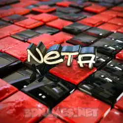 neta in Red Checkered style - 3D name wallpaper