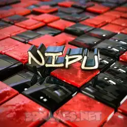 nipu in Red Checkered style - 3D name wallpaper