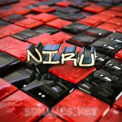 niru in Red Checkered style - 3D name wallpaper