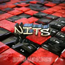 nits in Red Checkered style - 3D name wallpaper