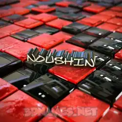 noushin in Red Checkered style - 3D name wallpaper