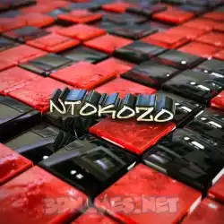 ntokozo in Red Checkered style - 3D name wallpaper