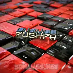 pushpa in Red Checkered style - 3D name wallpaper