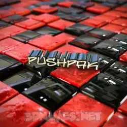 pushpak in Red Checkered style - 3D name wallpaper