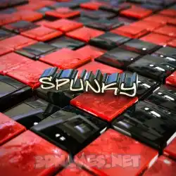 spunky in Red Checkered style - 3D name wallpaper