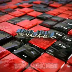 tsholofelo in Red Checkered style - 3D name wallpaper