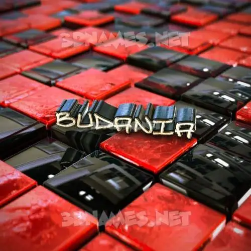 budania in Red Checkered style - 3D name wallpaper budania in Red Checkered style - 3D name wallpaper