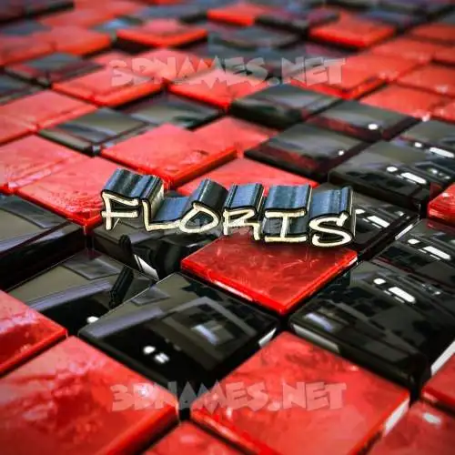 floris in Red Checkered style - 3D name wallpaper floris in Red Checkered style - 3D name wallpaper
