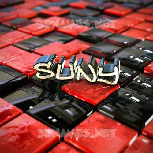 suny in Red Checkered style - 3D name wallpaper
