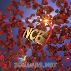 ncb in Hearts style - 3D name wallpaper