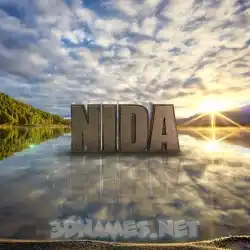 nida in Morning Sunrise style - 3D name wallpaper