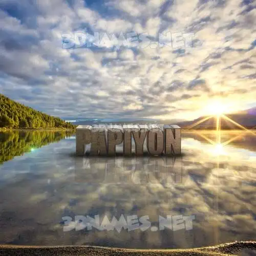 papiyon in Morning Sunrise style - 3D name wallpaper papiyon in Morning Sunrise style - 3D name wallpaper