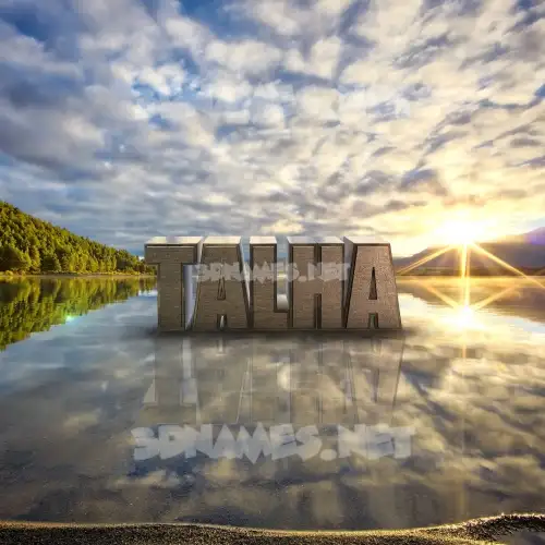 talha in Morning Sunrise style - 3D name wallpaper talha in Morning Sunrise style - 3D name wallpaper