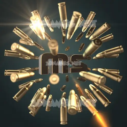 ms in Bullet Time style - 3D name wallpaper