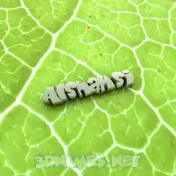 alshamsi in Gold Leaf style - 3D name wallpaper