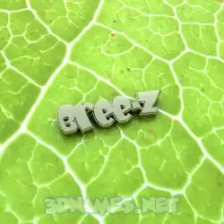 bree-z in Gold Leaf style - 3D name wallpaper