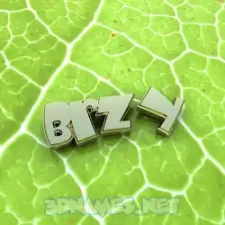 brzy in Gold Leaf style - 3D name wallpaper