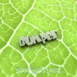 bumper in Gold Leaf style - 3D name wallpaper