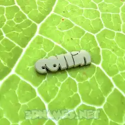 collin in Gold Leaf style - 3D name wallpaper