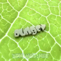 dungcv in Gold Leaf style - 3D name wallpaper