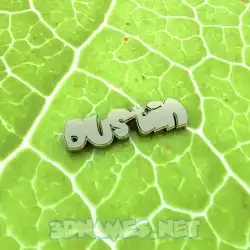 dustin in Gold Leaf style - 3D name wallpaper