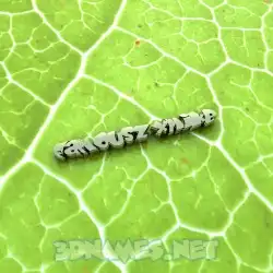 famouszxmike in Gold Leaf style - 3D name wallpaper