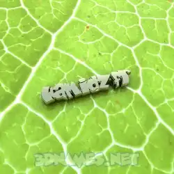 hamidzfr in Gold Leaf style - 3D name wallpaper