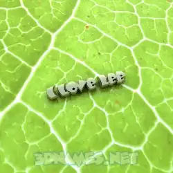 i love lee in Gold Leaf style - 3D name wallpaper