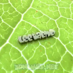 leetaeho in Gold Leaf style - 3D name wallpaper