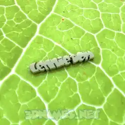 lennietom in Gold Leaf style - 3D name wallpaper