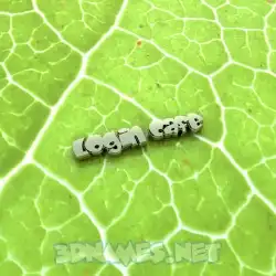 login cafe in Gold Leaf style - 3D name wallpaper