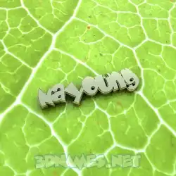 nayoung in Gold Leaf style - 3D name wallpaper