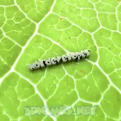 nbrdeveloper in Gold Leaf style - 3D name wallpaper