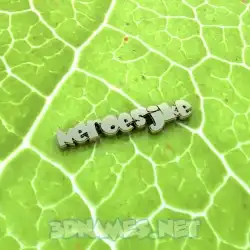 neroesjke in Gold Leaf style - 3D name wallpaper