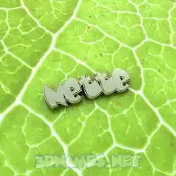 nette in Gold Leaf style - 3D name wallpaper