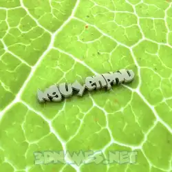 nguyenphu in Gold Leaf style - 3D name wallpaper