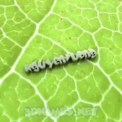 nguyenvuong in Gold Leaf style - 3D name wallpaper