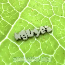 nguyet in Gold Leaf style - 3D name wallpaper