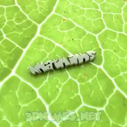 nhatminhs in Gold Leaf style - 3D name wallpaper