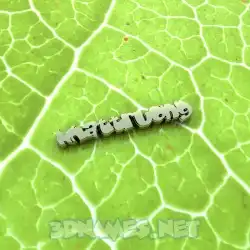 nhattruong in Gold Leaf style - 3D name wallpaper