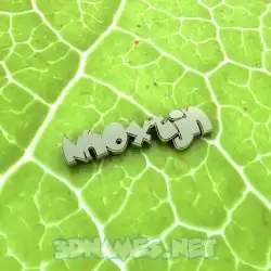 nhoxtjn in Gold Leaf style - 3D name wallpaper