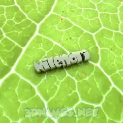 nilendri in Gold Leaf style - 3D name wallpaper